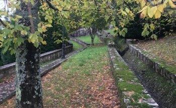 Rectorales Galegas S L