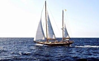 Canary Dream Charter