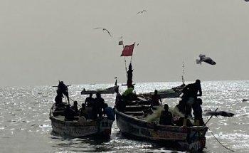 Expediciones Whanau SL