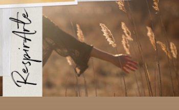 Be Well- Diseño de Experiencias-