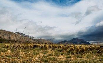 Photo Tours Almería