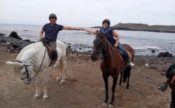 Holiday Tours Tenerife