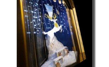 Viajópolis S L - Alpujarra Experiencias