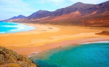 AlquilerFuerteventura.com