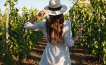 Gourmet Madrid Tours