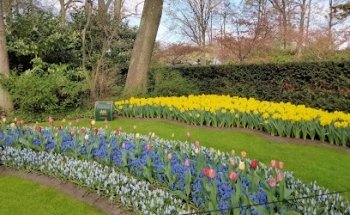 Arco Travel Millenium