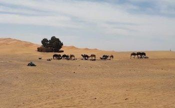 Tours a Marrakech & Agencia de Excursión Tour y Viaje Desierto Sahara Marruecos