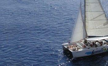 Lloguer d'embarcacions per a esdeveniments a Barcelona - Gotland Charter- Boat rentals Barcelona