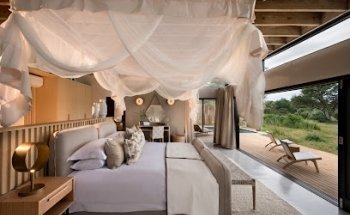 The African Experiences