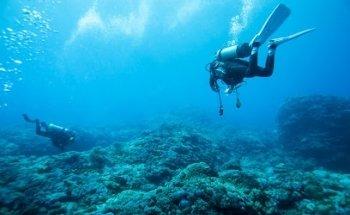 SUNY TRAVEL Viajes de buceo al Mar Rojo