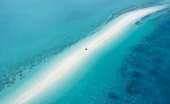 Australia Alternativa