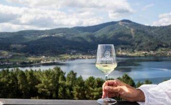 Ruta do Viño do Ribeiro