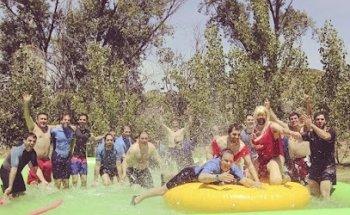 despedidasdesolterologrono.es