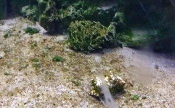 Oficina De Turisme De Deltebre