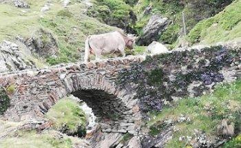 Art Tourism & Events