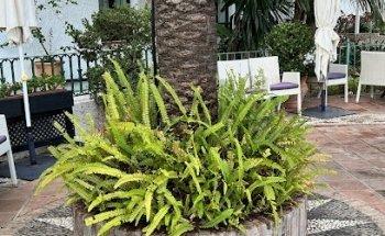 Marbella Fitness Holidays, Bootcamp & Wellness,Retreats