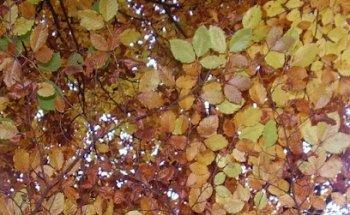 La Tormenta, actividades en la naturaleza