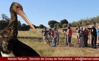 Iberian Nature - Guías de naturaleza