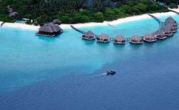 Magnolia Travel Company