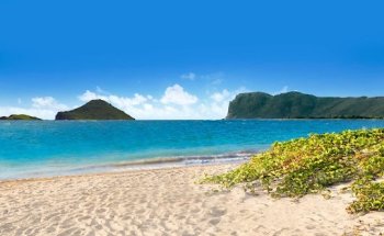 Fred. Olsen Travel Agents - Westbourne