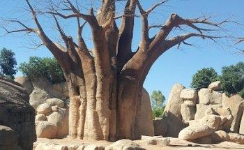 Viajes Carrefour Gran Turia