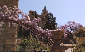 Welcome Incoming Services