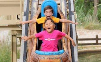 Agencia de Viajes Viajayestudia.es