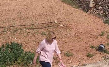 Singlar Cruceros S.L.