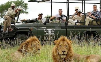 Fou por viajar / Mascruceros