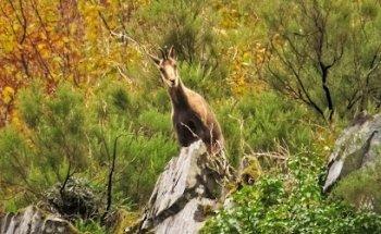 NATUR -Naturaleza y Turismo-