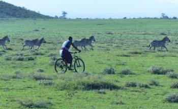 BIKE EXPERIENCE TOURS
