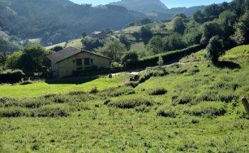 Cementerio de Tarrueza