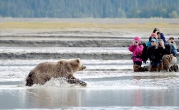 Alaska Tours