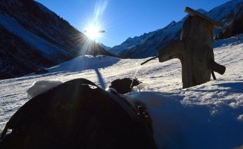 Pitztaler Info Zentrale