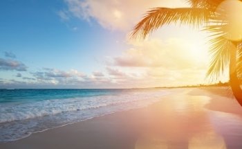 Reisebüro CHILLIReisen