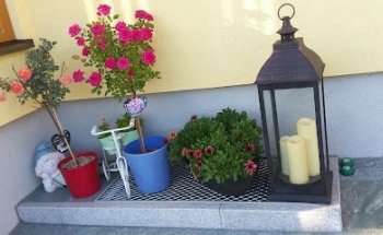 Igler - Autoreisen GmbH