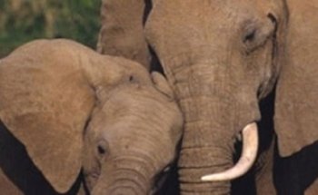 Reisebüro Flieg & spar