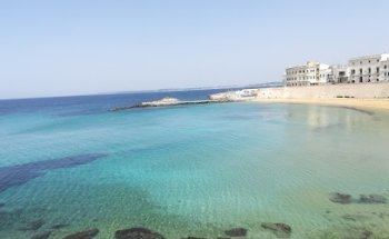 Weidinger Verkehrs GmbH & Co KG