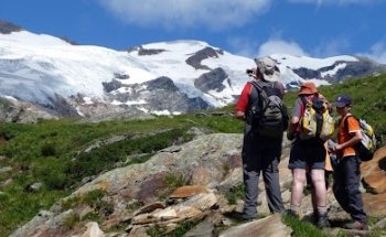 Virgental.at - Gasser Robert