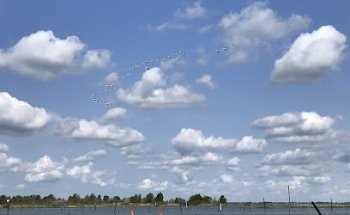 NOVASOL Ferienhausvermittlung