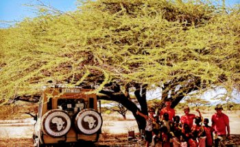 Atelier Africa Safaris