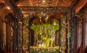 Voar Brazil Viagens e consultoria