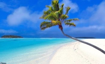 Rêves d'Evasion Travel Experts Sirault