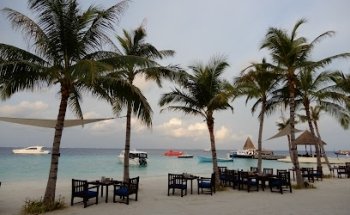 Jasmine Travel & Events