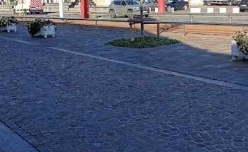 De Blauwe Vogel Nieuwpoort