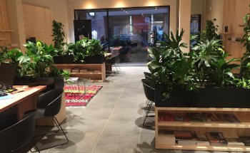 Selectair Reizen Staelens