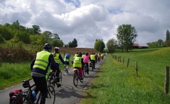 Gulliver Organisation