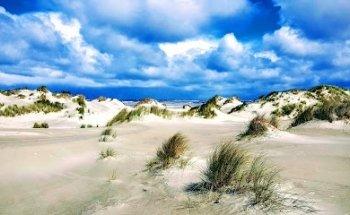 Annemiek Terschelling