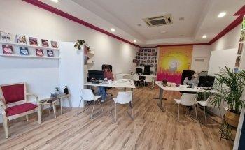 Viajes Bayo - Agencia de Viajes