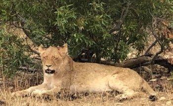 Lilian Miltenburg|Travel Counsellors|Persoonlijk Reisadviseur